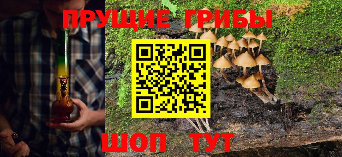 Артёмовский  Псилоцибиновые грибы мухоморы  Вход с VPN  Псилоцибиновые грибы Psilocybine cubensis 